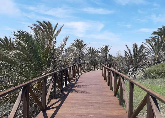 Bajo Con Gran Terraza En Ribera De Cabanes